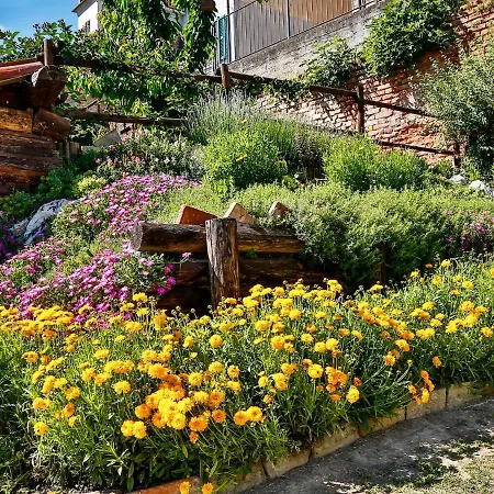 Il Ghiro By Interhome Daire