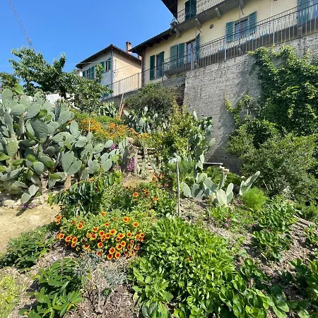 Appartement Il Ghiro By Interhome Montechiaro d'Asti